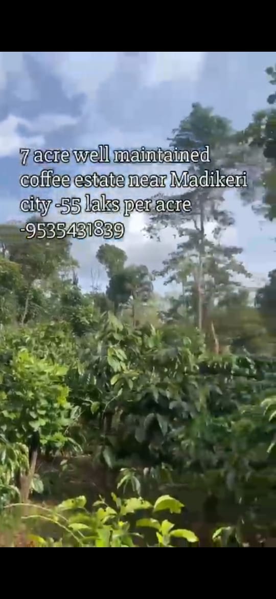 *property id 5179*  🆔 *Exclusive 7 Acre Premium Coffee Estate – Near Madikeri*